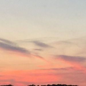 Meet your Posher, Gia